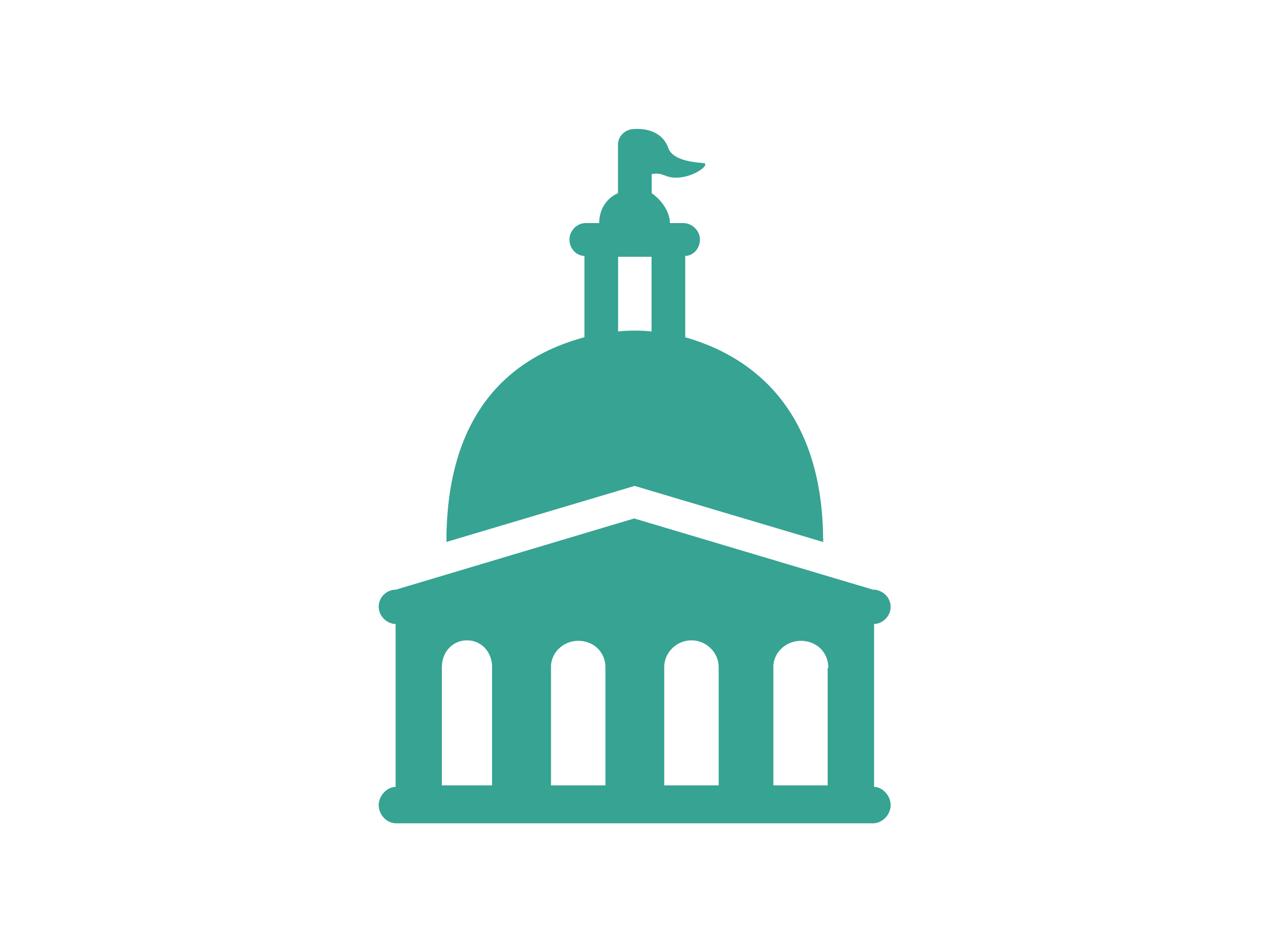 Government Icon