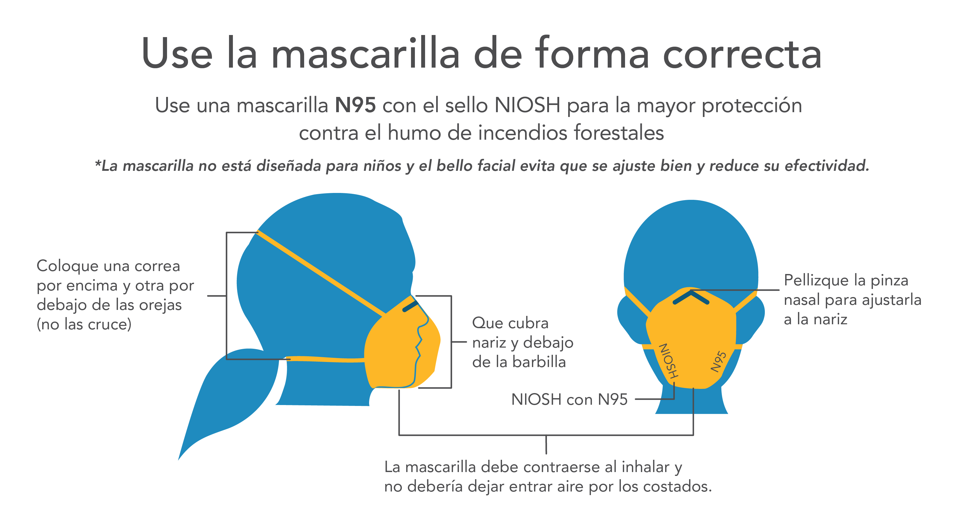 Use la mascarilla de forma correcta Use una mascarilla N95 con el sello NIOSH para la mayor protección contra el humo de incendios forestales Coloque una correa por encima y otra por debajo de las orejas (no las cruce) Pellizque la pinza nasal para ajustarla a la nariz Que cubra nariz y debajo de la barbilla NIOSH con N95 La mascarilla debe contraerse al inhalar y no debería dejar entrar aire por los costados. *La mascarilla no está diseñada para niños y el bello facial evita que se ajuste bien y reduce su efectividad.