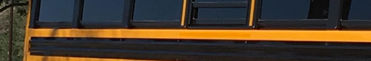 kids on school bus