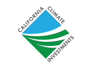 CCI logo